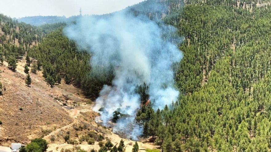 Conato de incendio en Tejeda