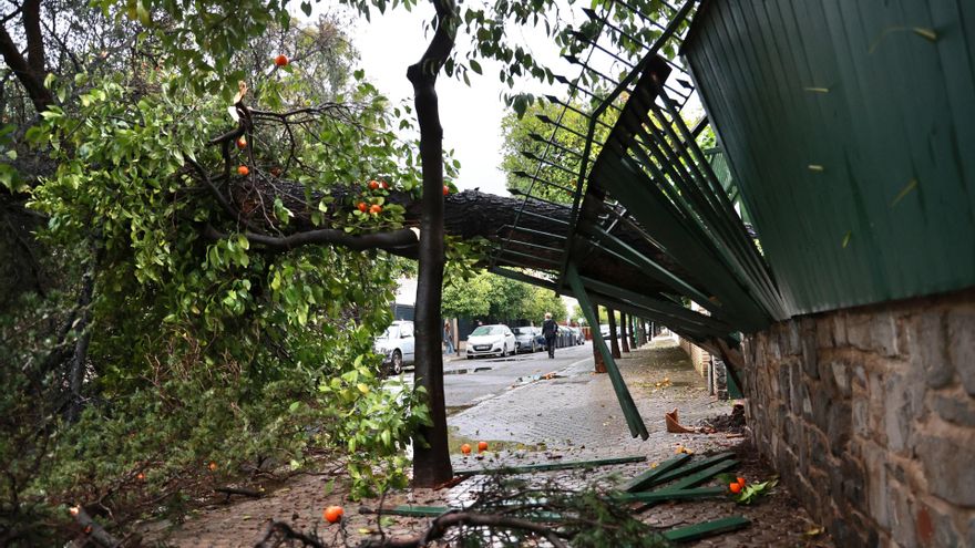 El temporal deja cinco personas heridas por varios desprendimientos en la provincia de Sevilla
