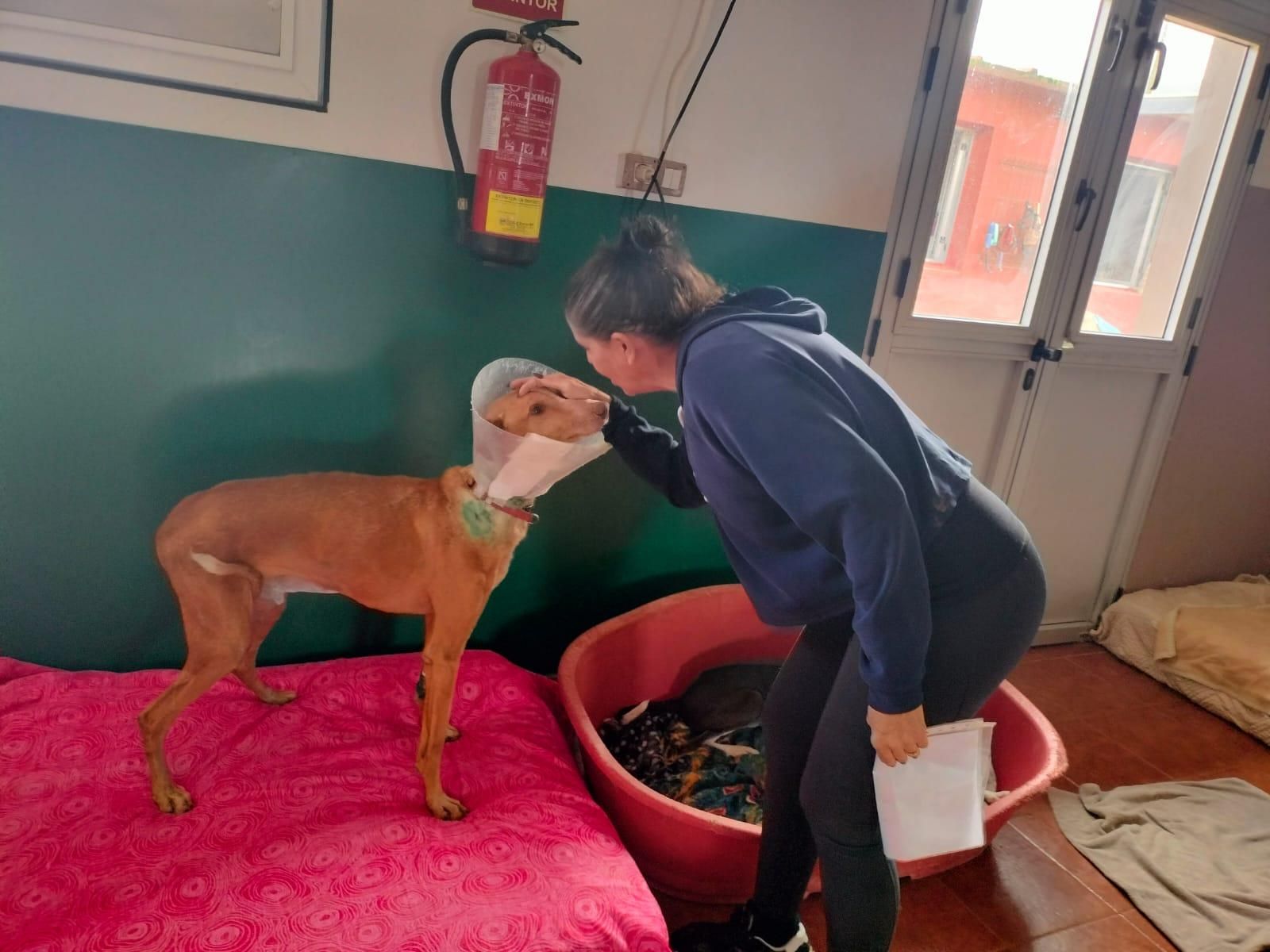 Yahaira con un perro recientemente curado.