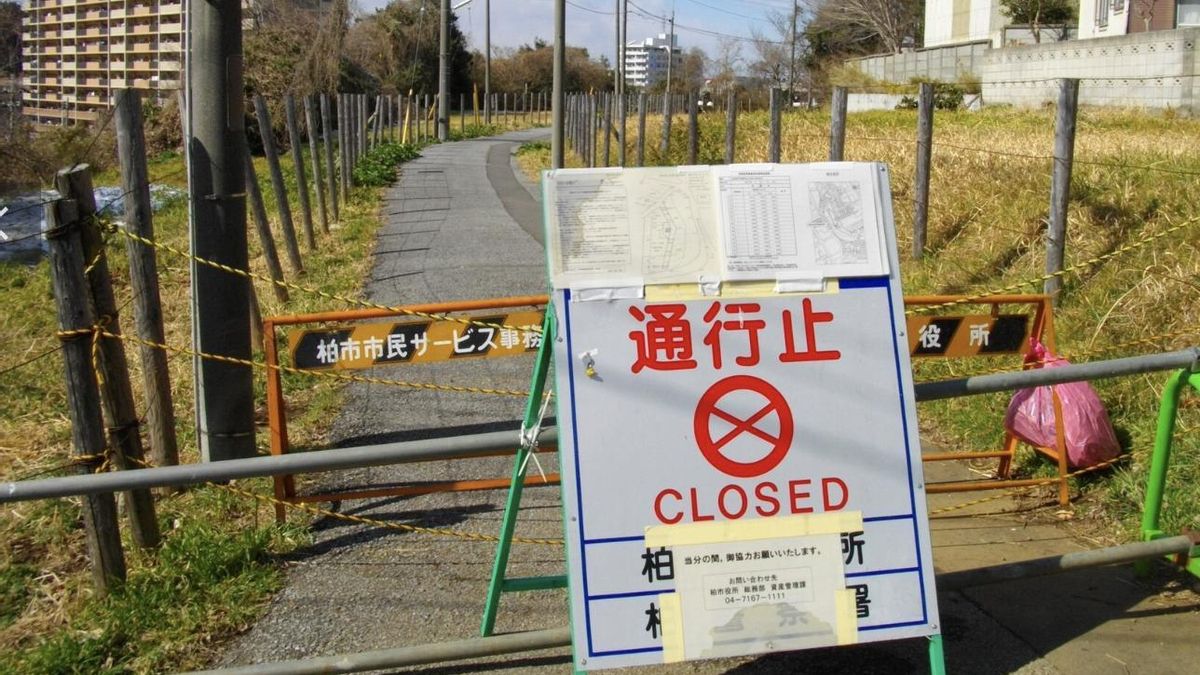 La enorme radiación de Fukushima no ha borrado toda forma de vida y unas criaturas sobreviven apoyadas en microecosistemas y química
