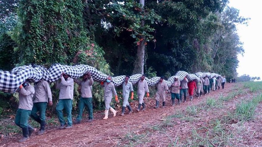 El vertido de un barco encallado en isla Mauricio obliga a declarar el “estado de emergencia medioambiental”