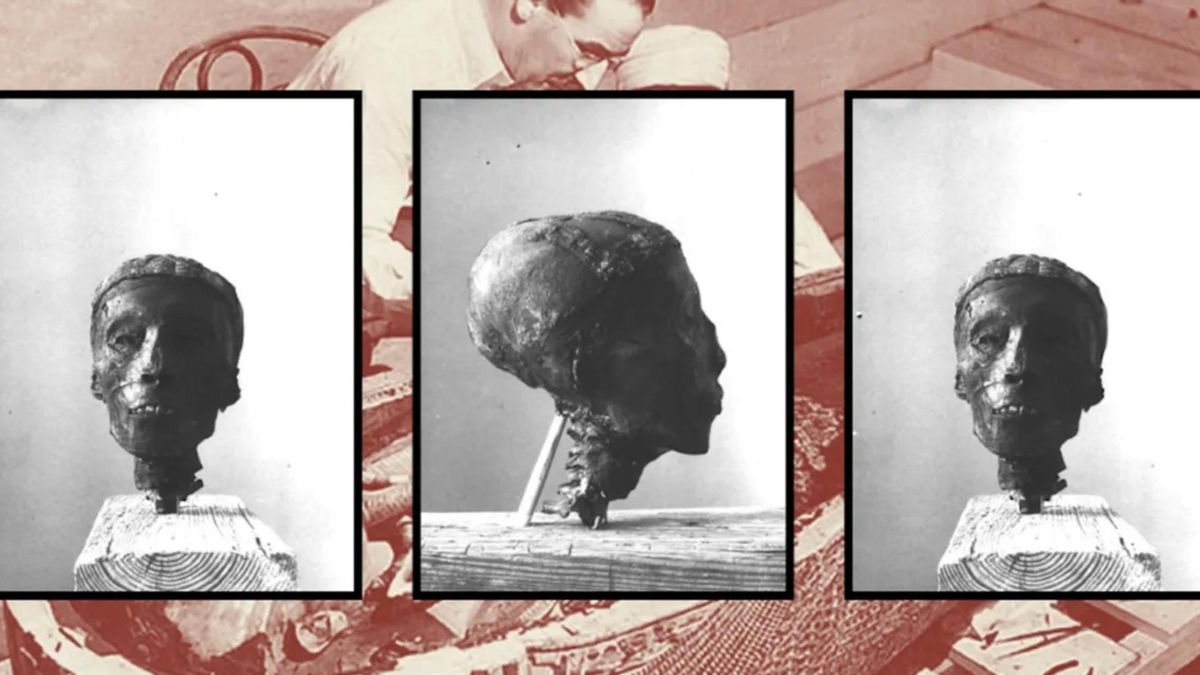 Las primeras manipulaciones mostraron que la fama no protege los restos antiguos