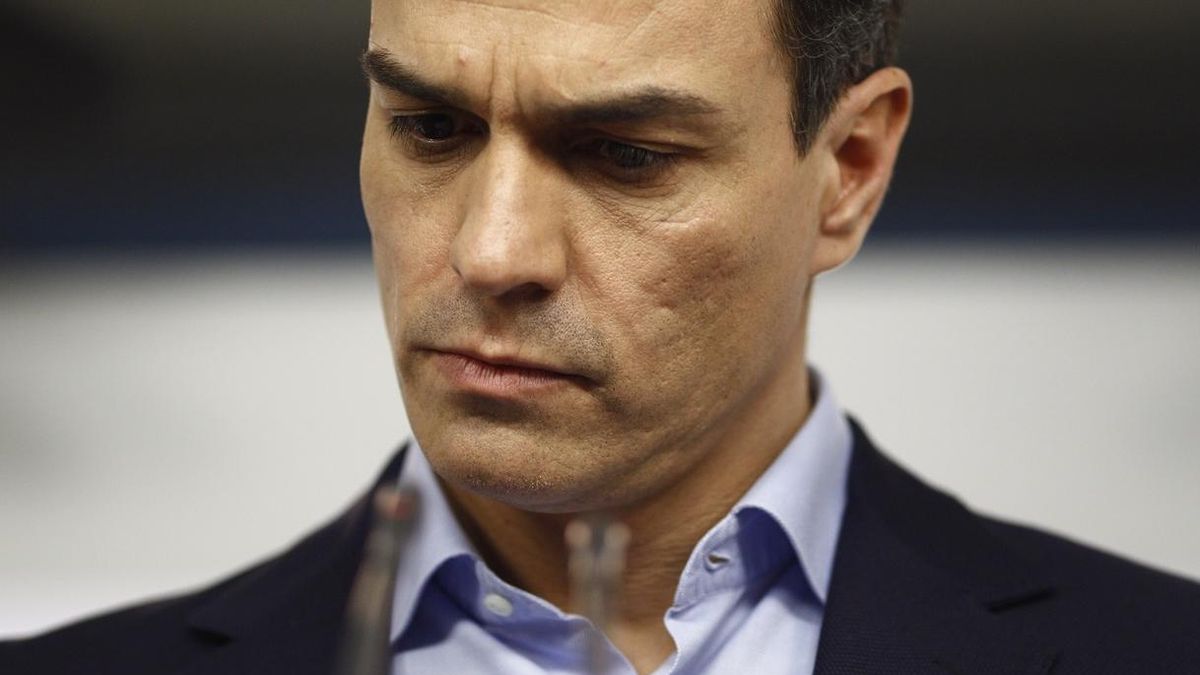 Pedro Sánchez admite que no puede tener un gobierno monocolor y apuesta por uno "transversal"