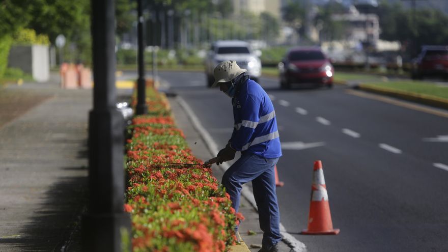 ¿Por qué crece la economía pero no el empleo formal en Panamá?