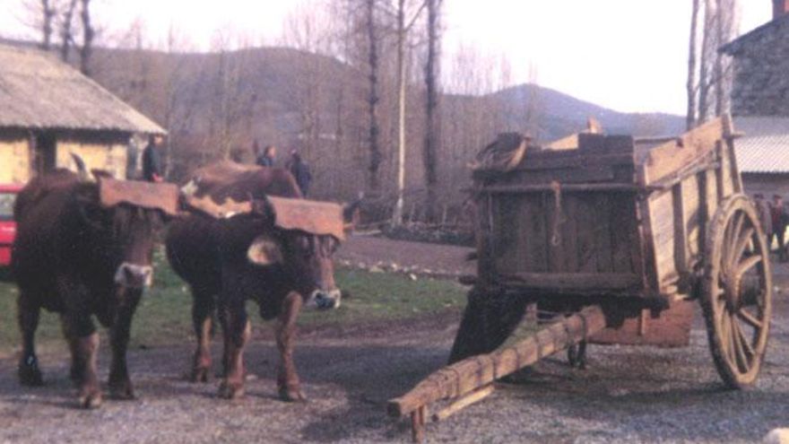 Feria de Riaño en 1980