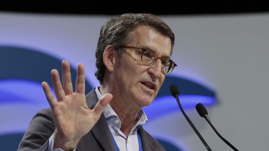 El presidente de Galicia y candidato a la presidencia del PP, Alberto Núñez Feijóo, interviene durante el XX Congreso Nacional del partido en Sevilla, que comienza este viernes y que elegirá por aclamación a su nuevo presidente. EFE/Julio Muñoz