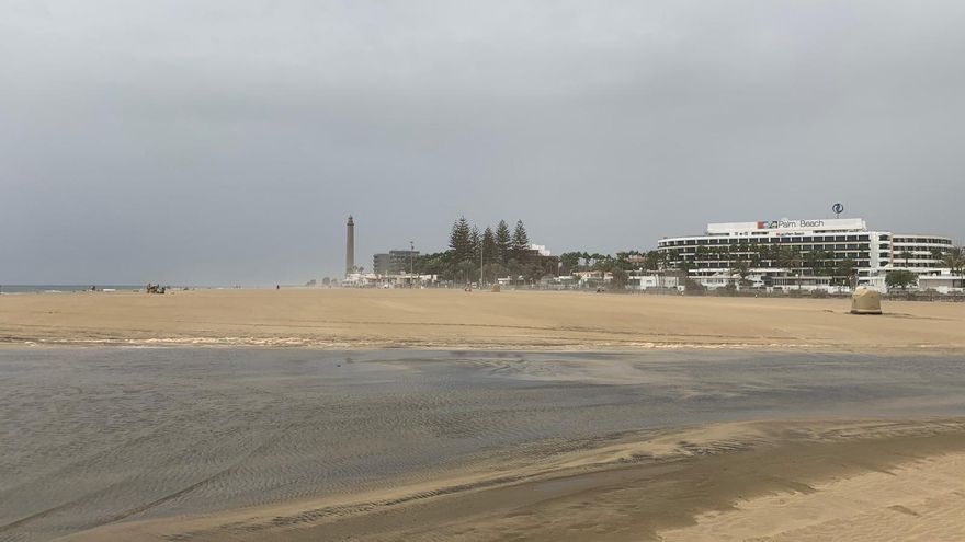 Un canal provisional permitirá que las "mareas del Pino" renueven el agua de la Charca de Maspalomas y la llenen de peces