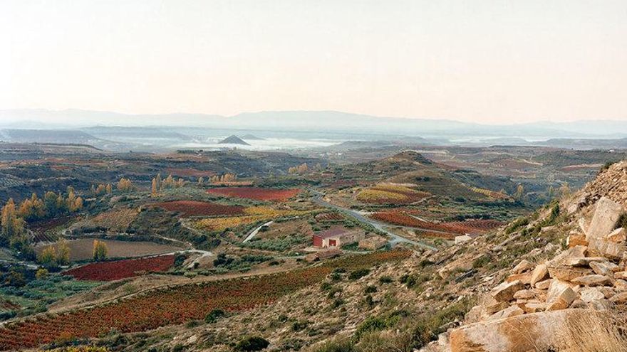 Dos muertos y un herido en un accidente laboral en una bodega de Lanciego, Álava