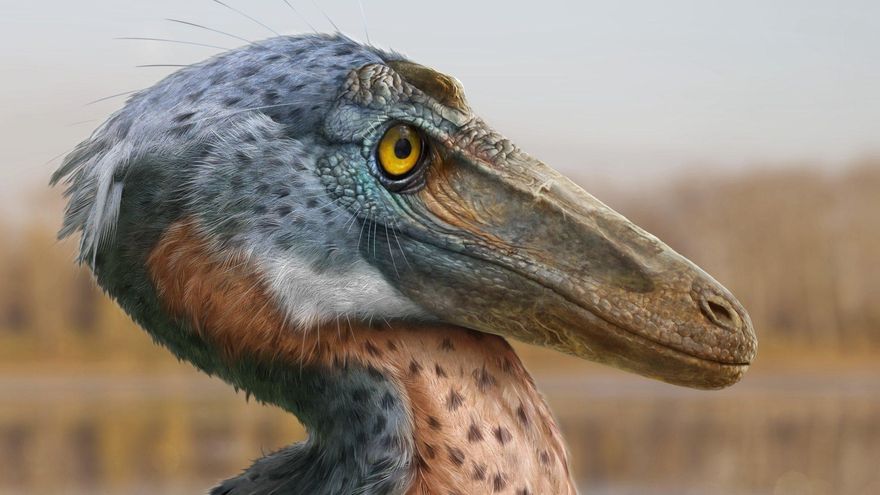 El dinosaurio con cabeza acorazada que embestía como un carnero y desafía la evolución de las aves primitivas