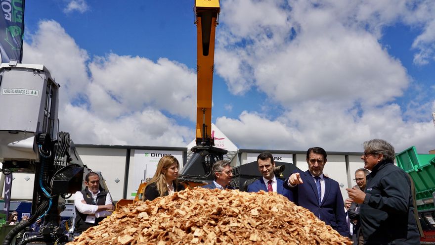 La incineración de biomasa que el norte de León evitó en cascada y que ahora coge fuerza en el sur de la ciudad