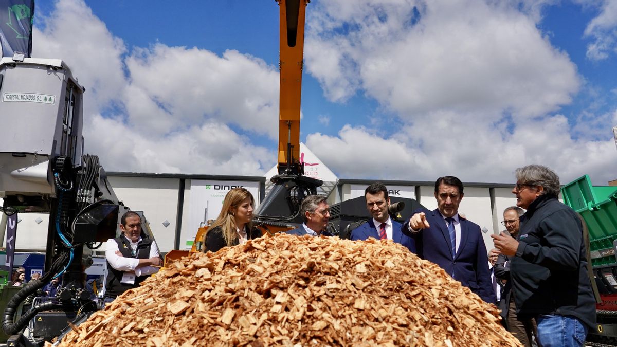 La incineración de biomasa que el norte de León evitó en cascada y que ahora coge fuerza en el sur de la ciudad