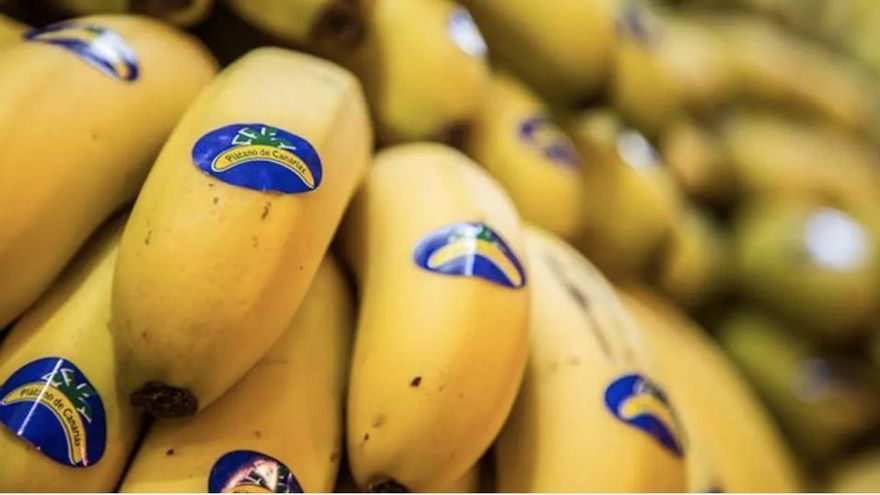 Canarias ya ha pedido una retirada de plátano del mercado de  22 millones de kilos hasta octubre, por más producción y bajos precios