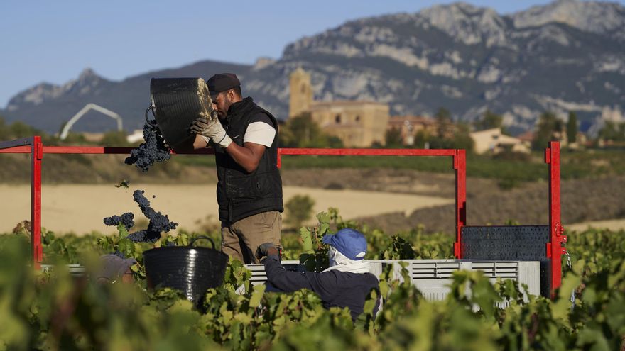 Mayor protección y más dinero para la agricultura europea para aprobar el acuerdo de Mercosur con la UE este año