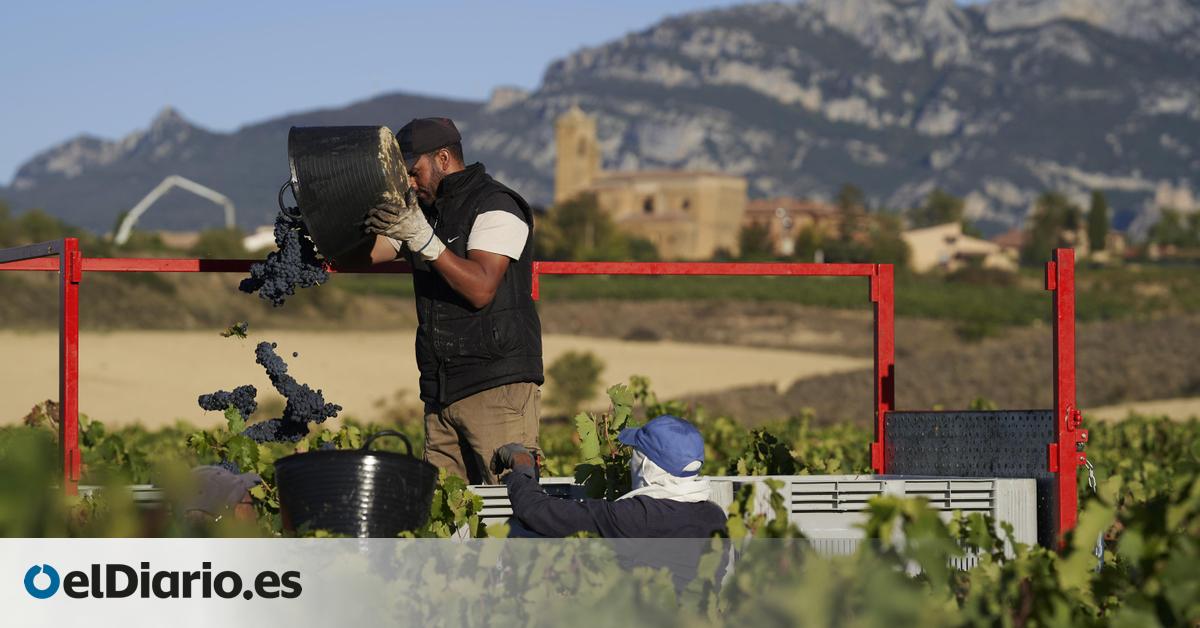 Mayor protección y más dinero para la agricultura europea para aprobar el acuerdo de Mercosur con la UE este año