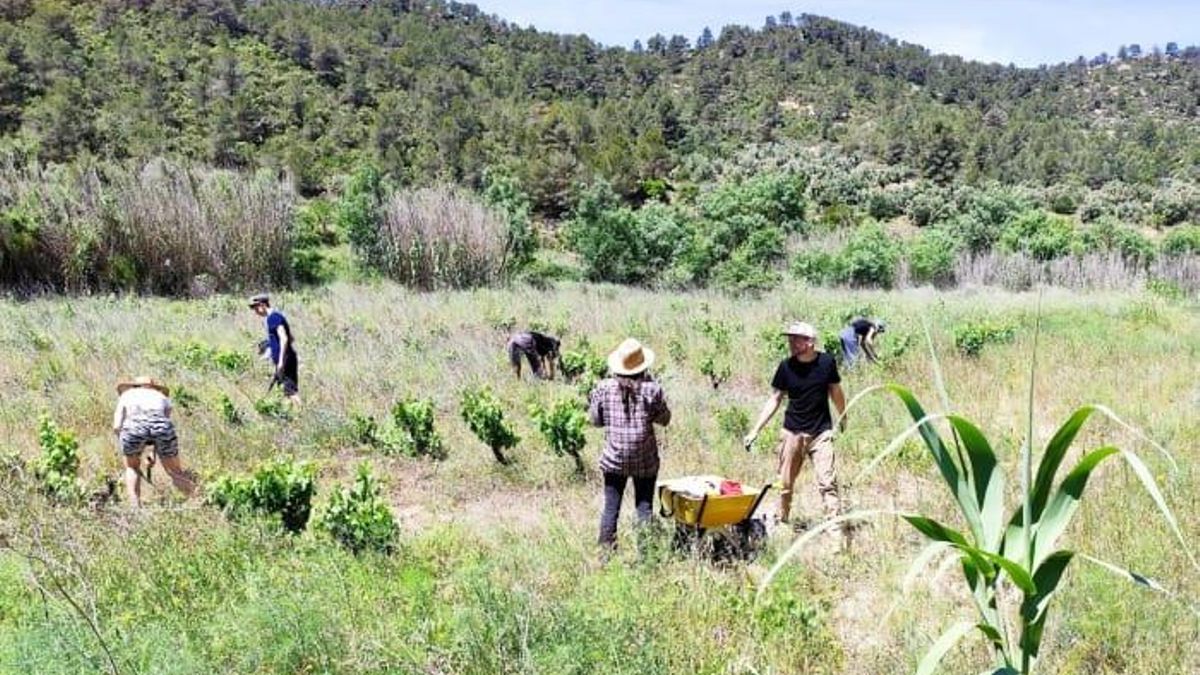 Recuperar la tierra, gestionar el agua y hacer comunidad: un proyecto que crece a orillas de un río entre Aragón y Catalunya