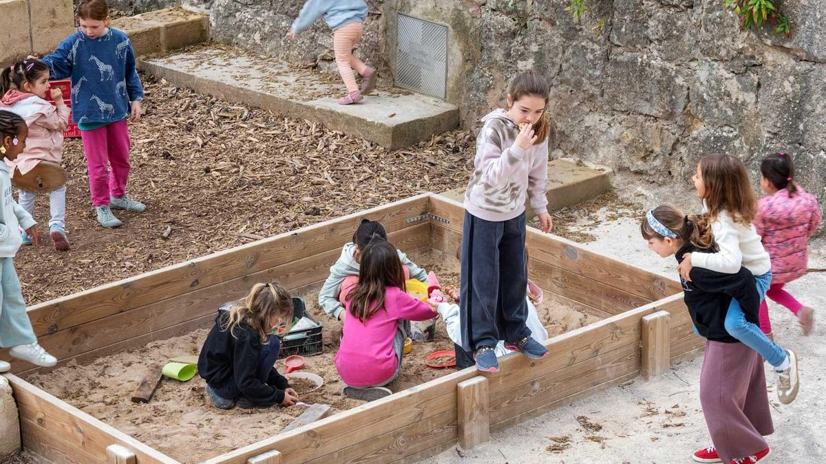 L'esbarjo com a refugi climàtic: així es transformen els patis escolars en espais verds i inclusius a les Balears