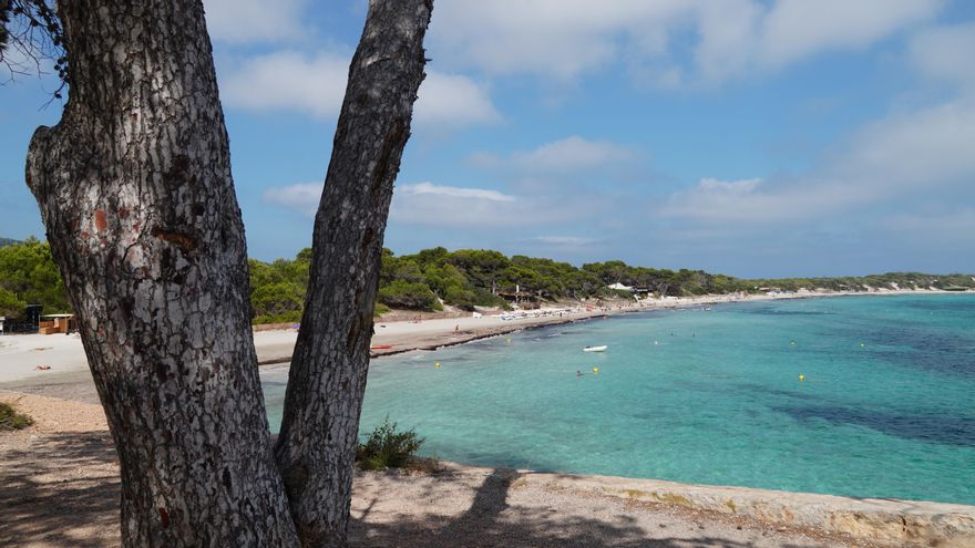 El Govern balear investiga una festa de Loewe al Parc Natural de Ses Salines per una possible infracció
