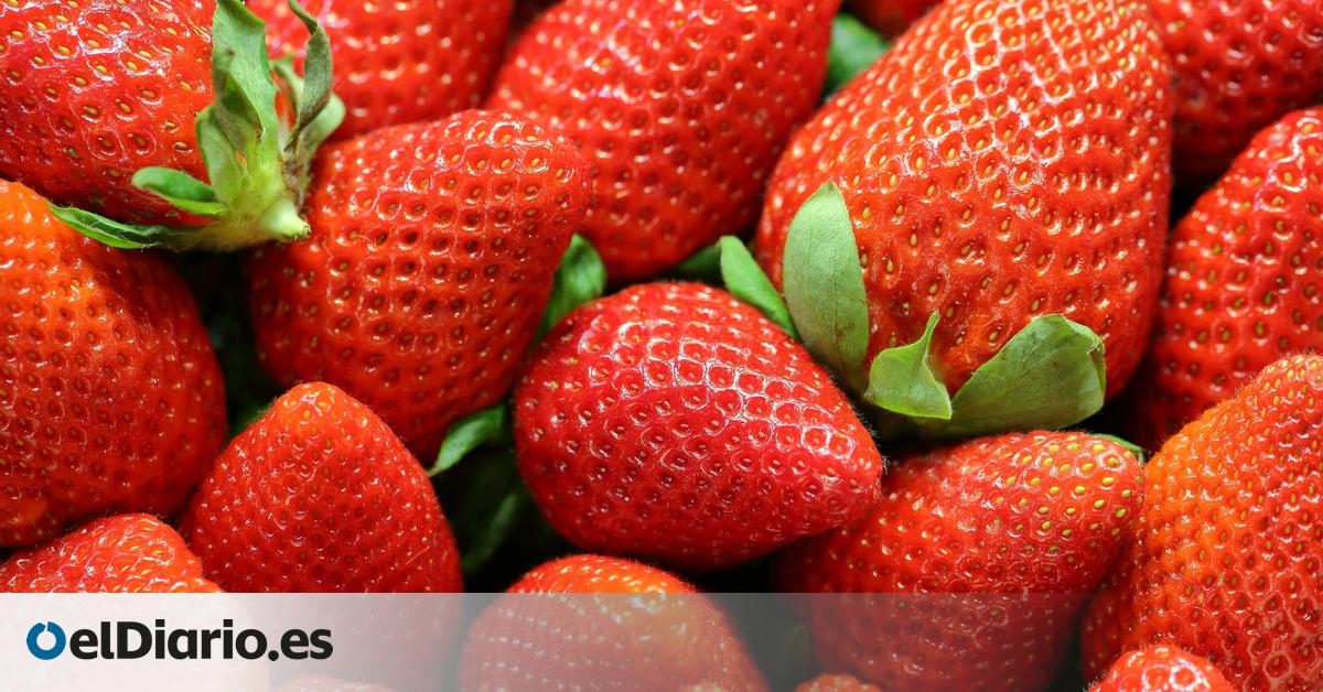 Cómo lavar bien las fresas para un consumo seguro