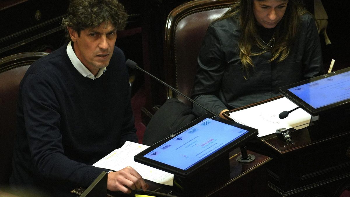 Martín Lousteau y Guadalupe Tagliaferri votaron en contra de los decretos