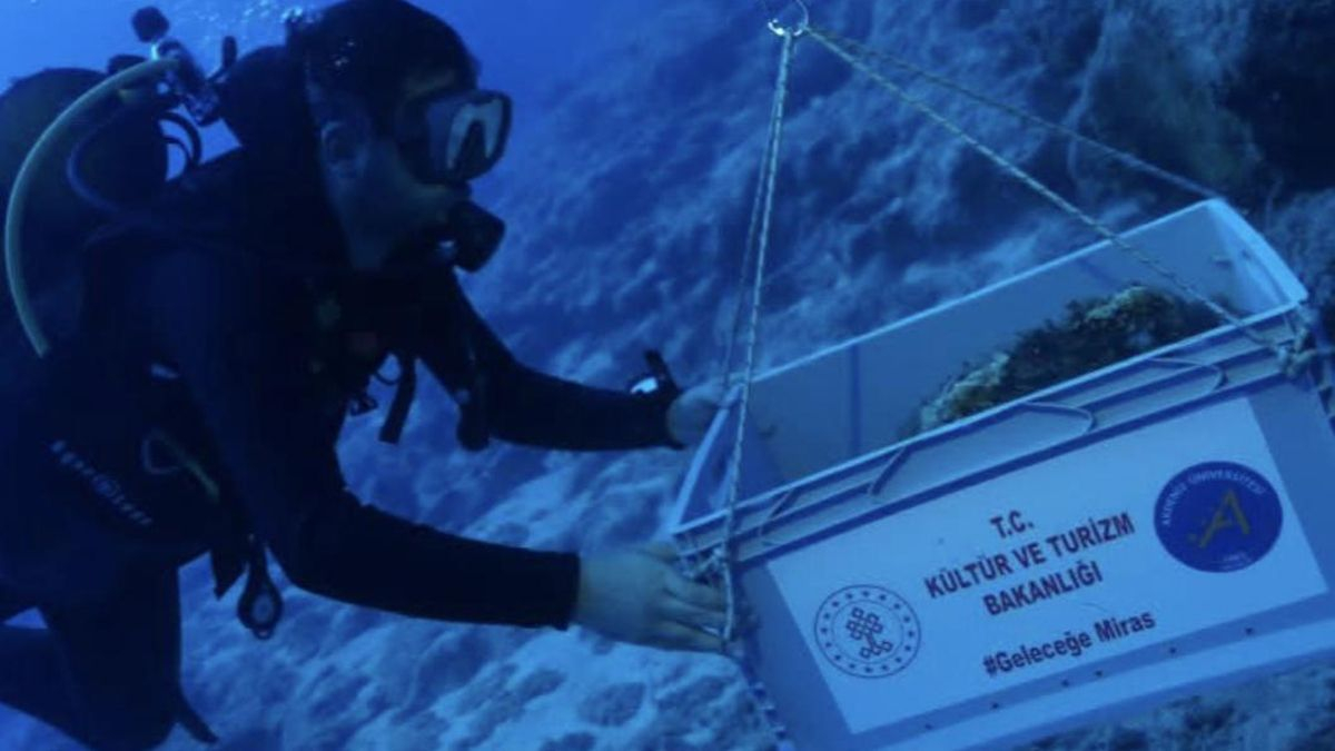 Hallan frente a las costas de Turquía “el naufragio más antiguo del mundo”