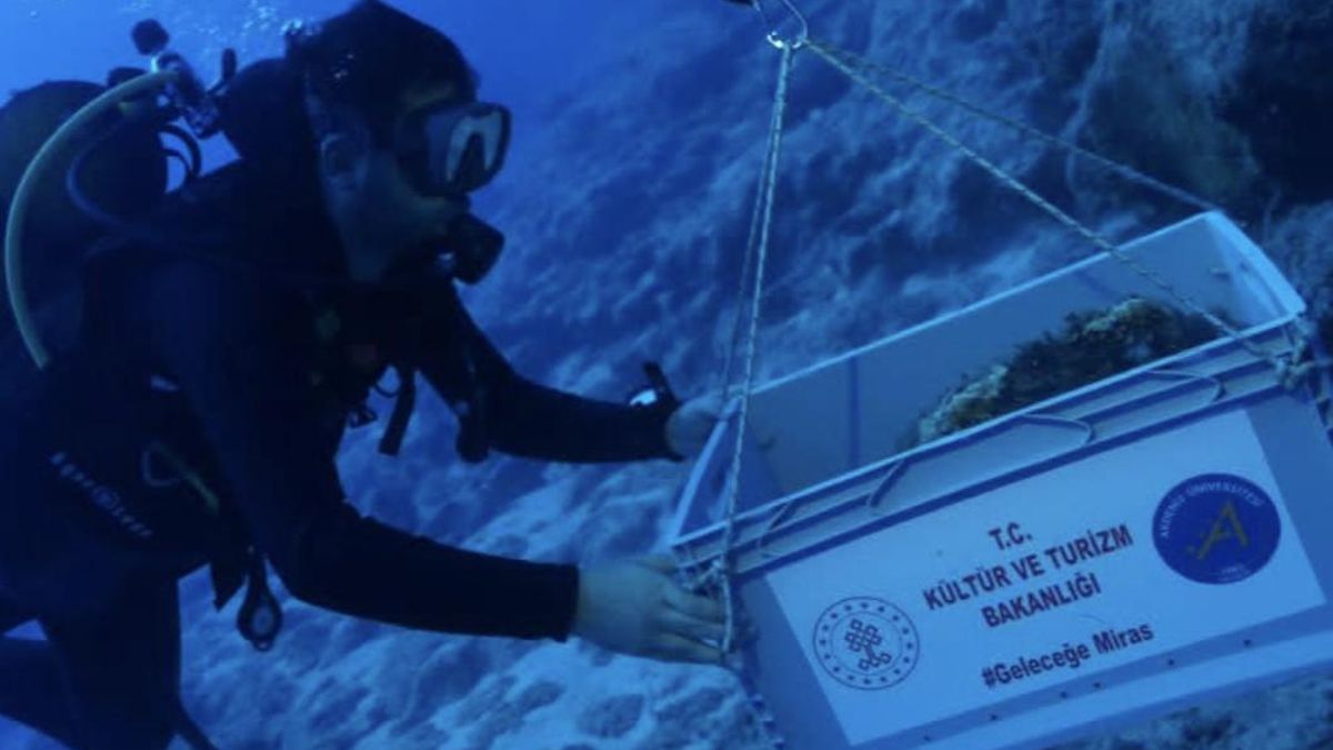 4,700-Year-Old Shipwreck Found Off Turkey