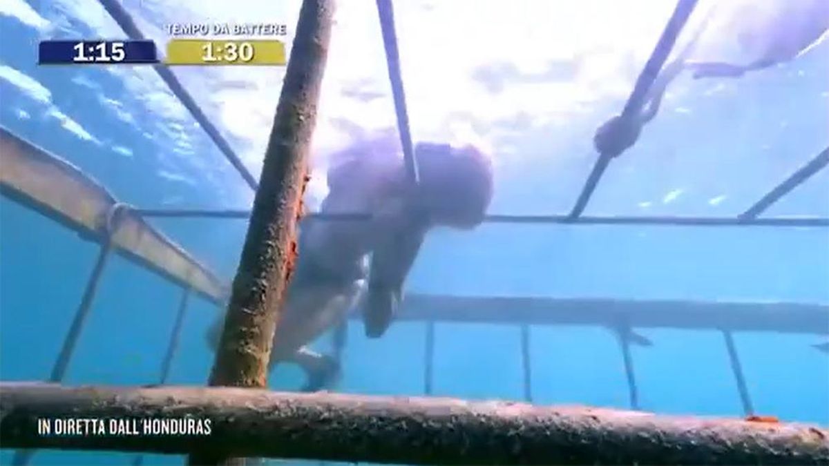 Angustia en el 'Supervivientes' italiano por un accidente en la prueba de apena: "No podía salir del agua"