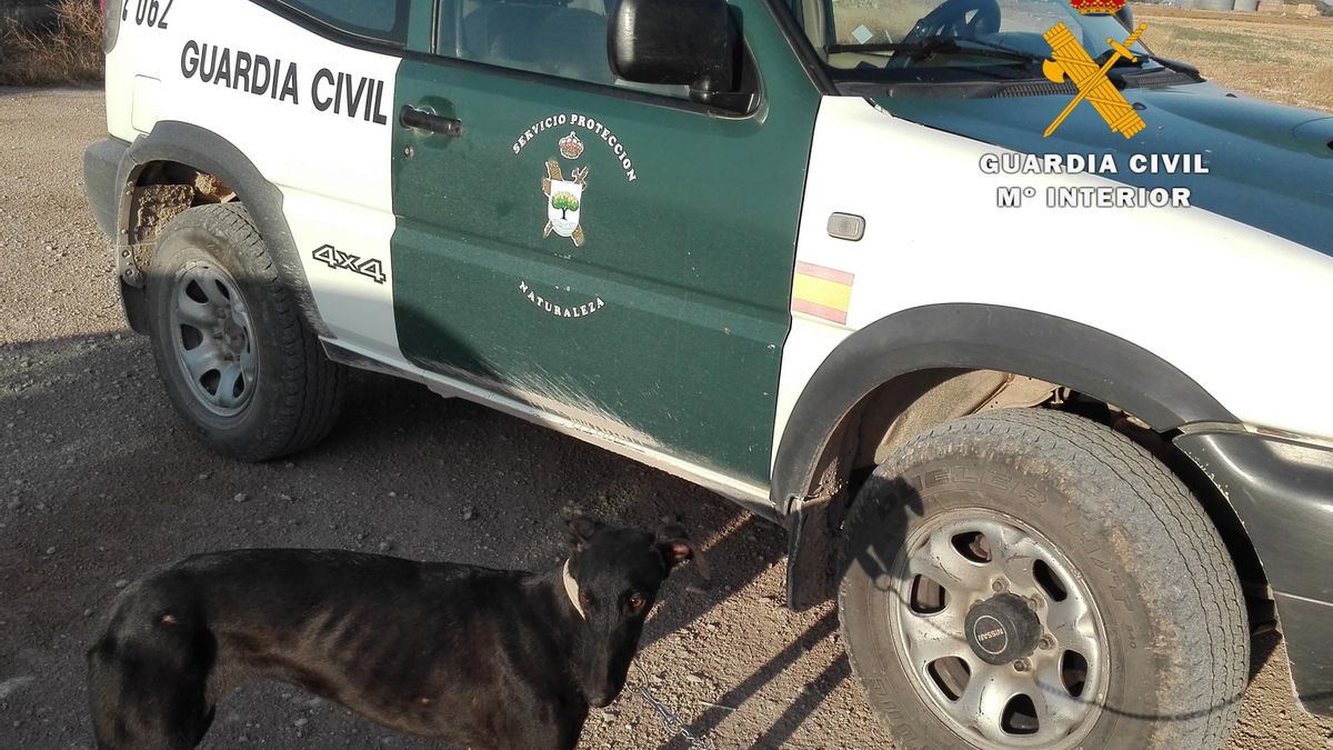 Guardia Civil /Imagen de archivo