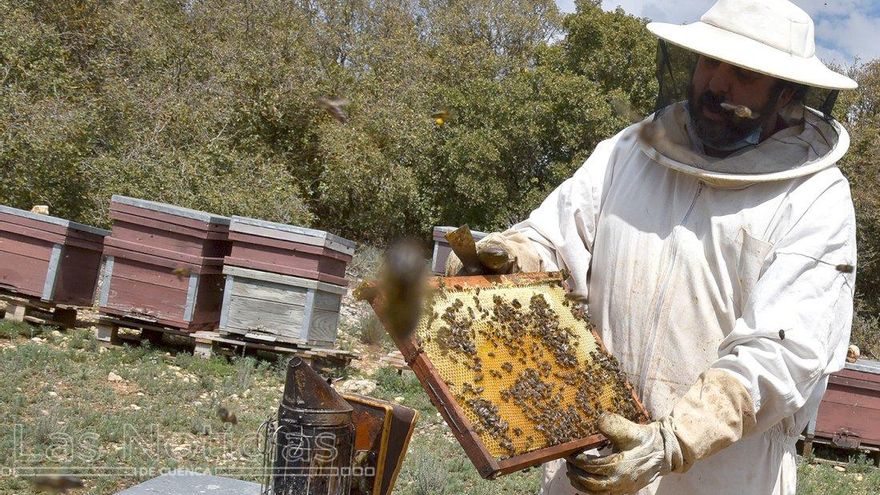 Apiturismo en Cuenca.
