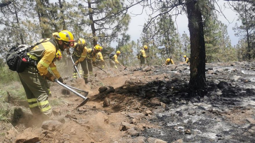 Labores de consolidación del perímetro del flanco izquierdo del incendio de Arico.