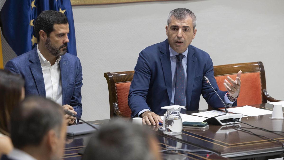 Domínguez, este viernes, en la comisión parlamentaria sobre tierras raras.