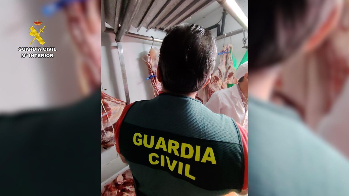 Imágenes de las carnes incautadas.