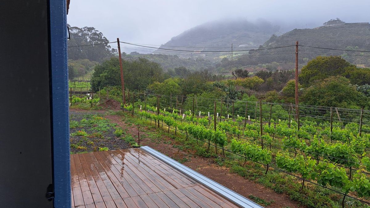 La finca que tenía Fran Beltrán, en Tenerife. La bodega es 'La Esquina del Viento'