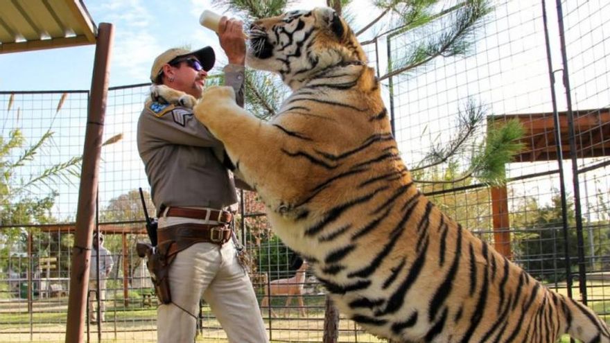 Netflix y 'Tiger King', demandados por usar clips de 'Ace Ventura 2' sin permiso