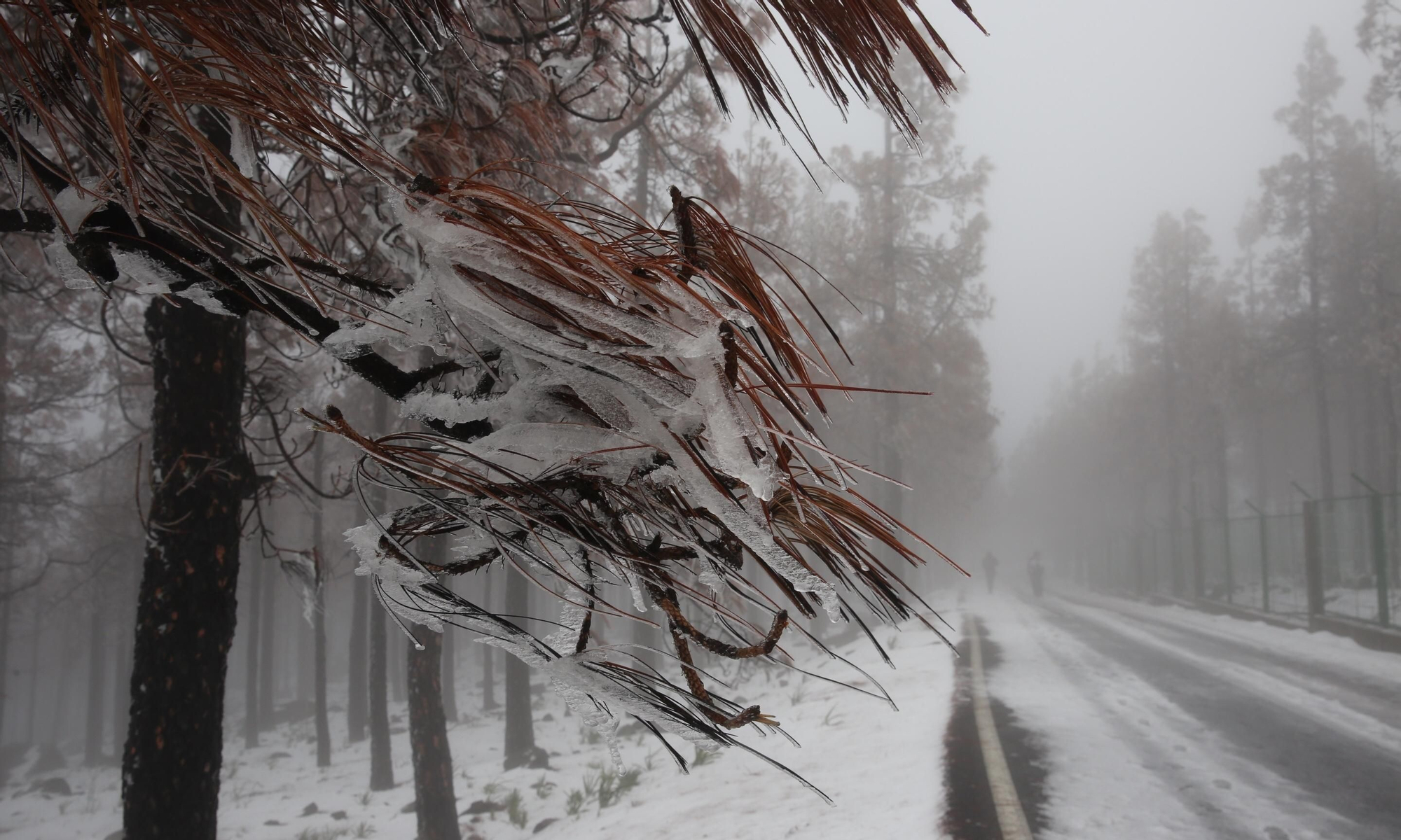 Alrededores del Pico de Las Nieves cubiertos de nieve