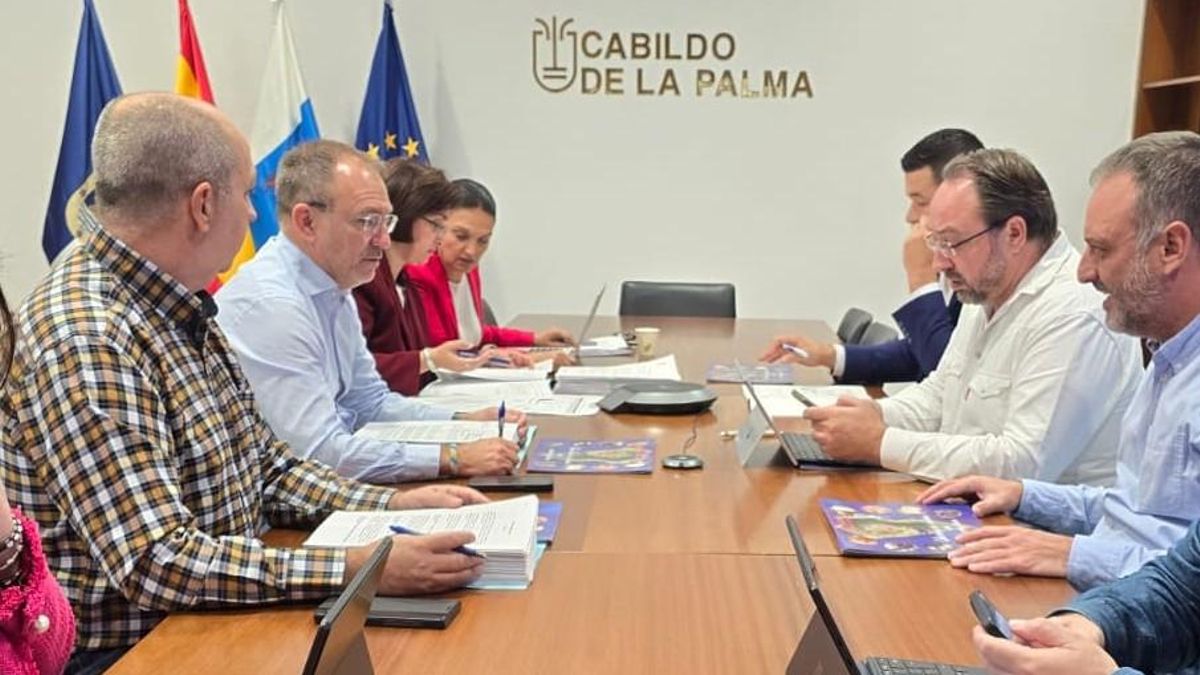 Consejo de Gobierno del Cabildo de La Palma.