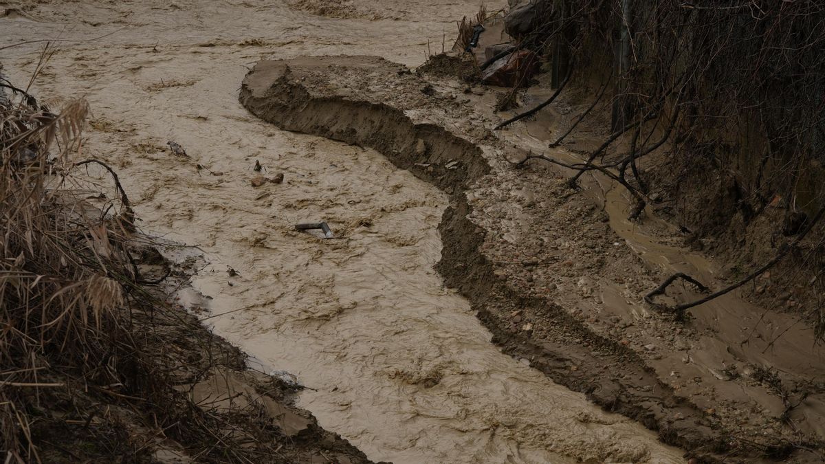 El desguace de la carretera de Granada, inundado por la crecida del Guadalquivir