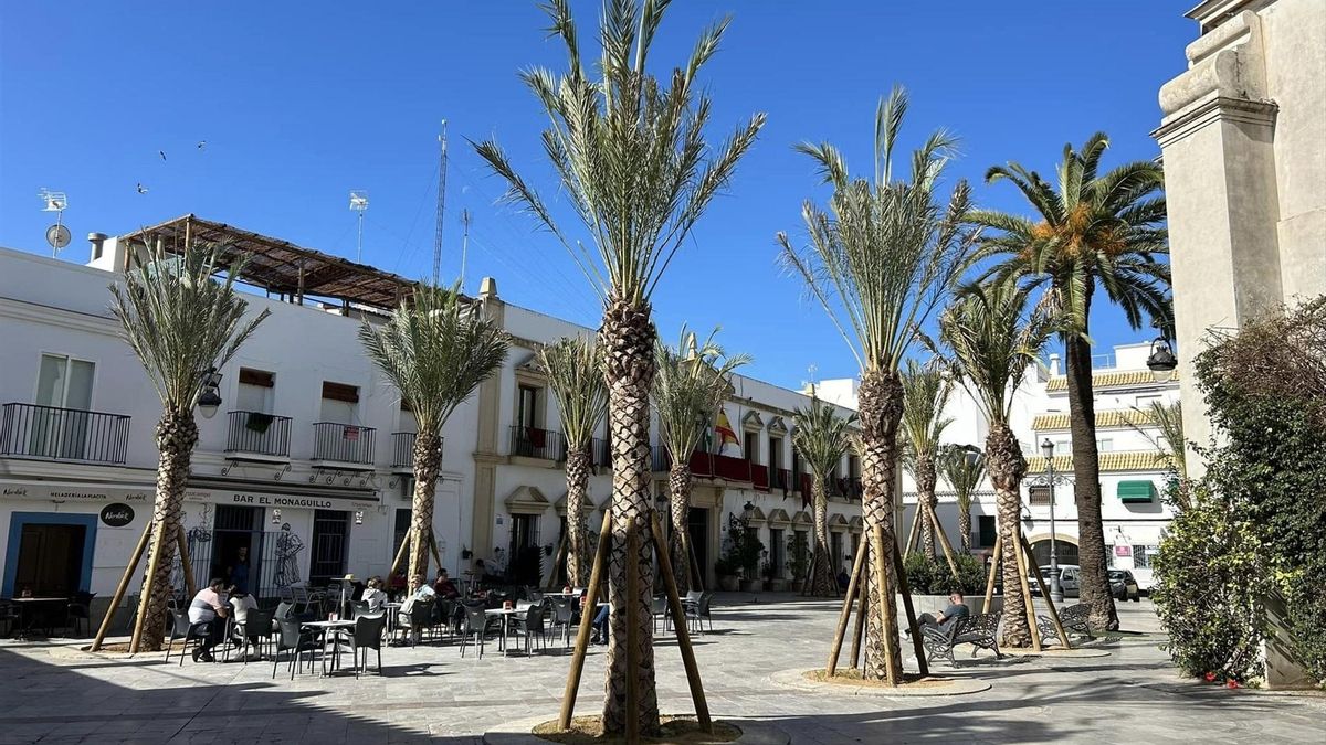 Nueve meses para las municipales: estos son los lugares que ganarán o perderán concejales en Andalucía de cara al 23M