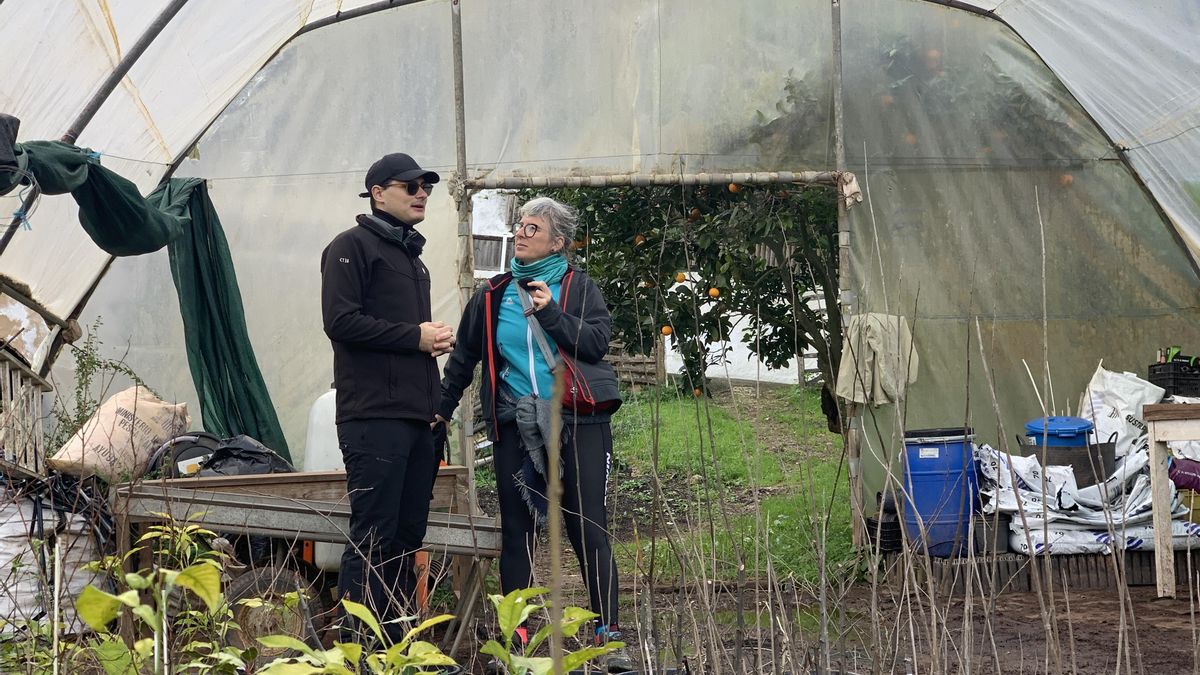 Trabajo en vivero agrícola en Menorca, base para la recuperación de variedades y la continuidad del sistema productivo