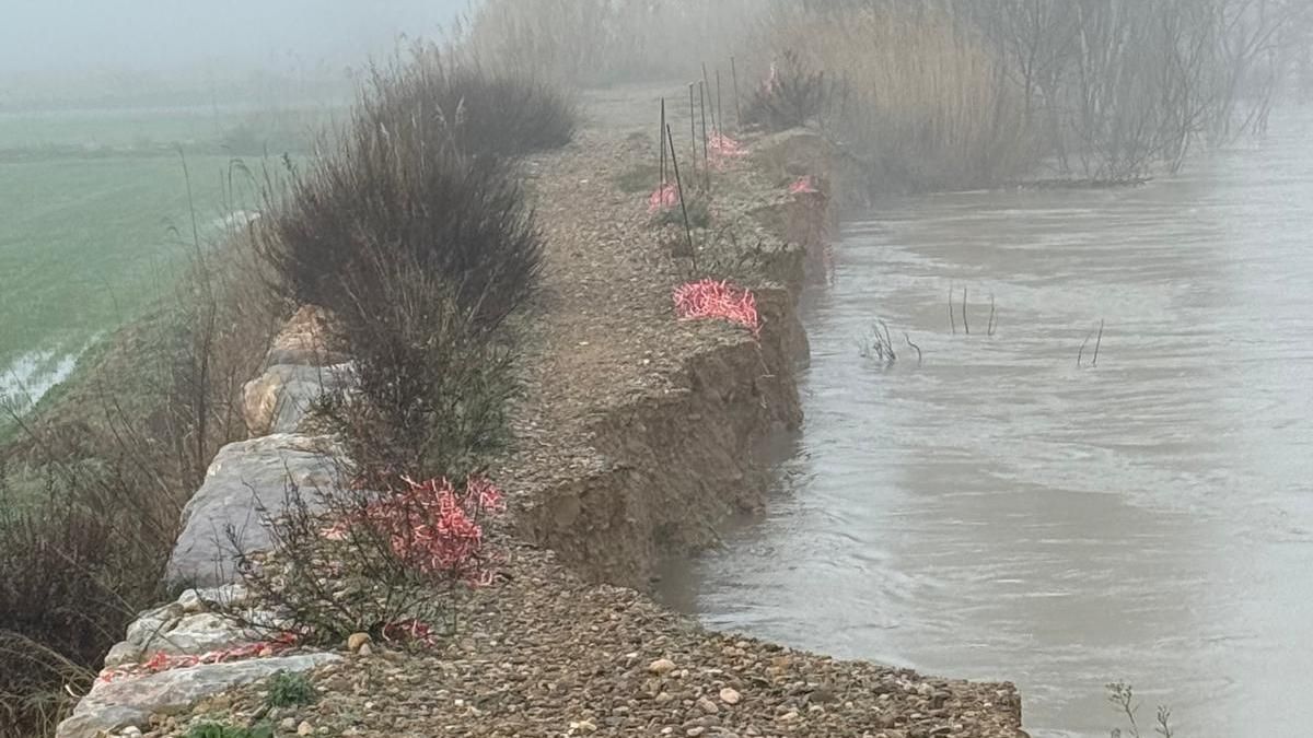 Mota de El Burgo de Ebro