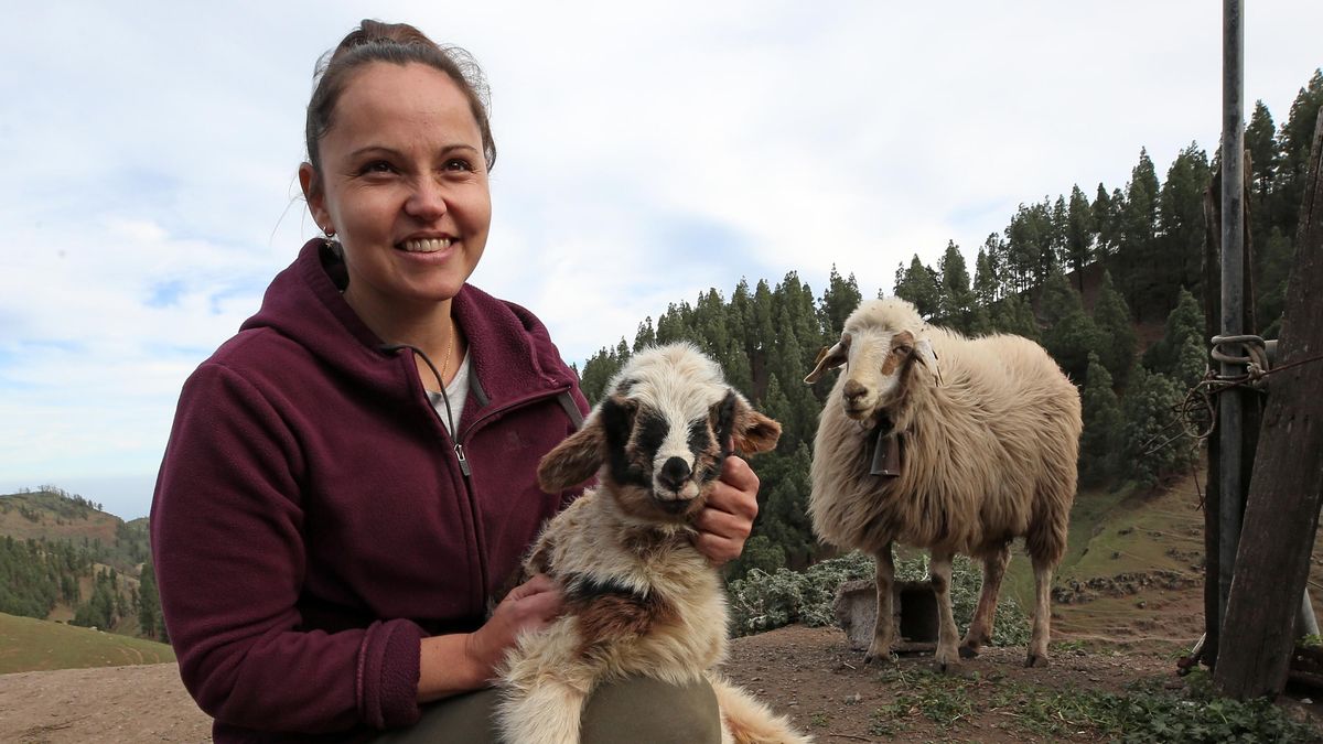 Yohana Mendoza sujeta un cordero recién nacido en la Quesería Cortijo de Pavón.
