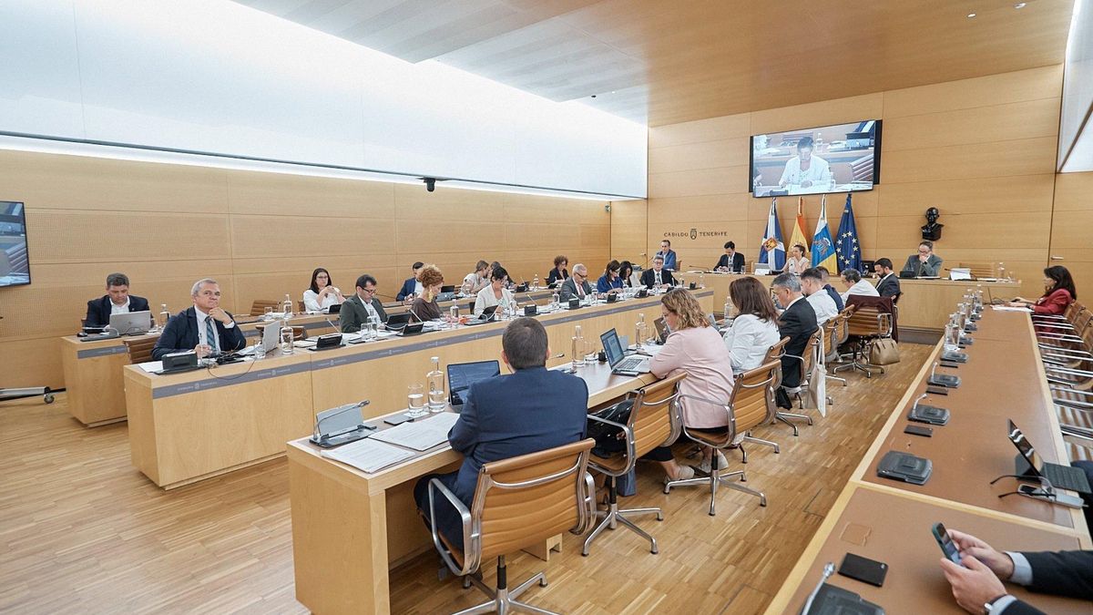 El Cabildo de Tenerife certifica su rechazo al proyecto turístico Underwater Gardens y concede al promotor el trámite de audiencia