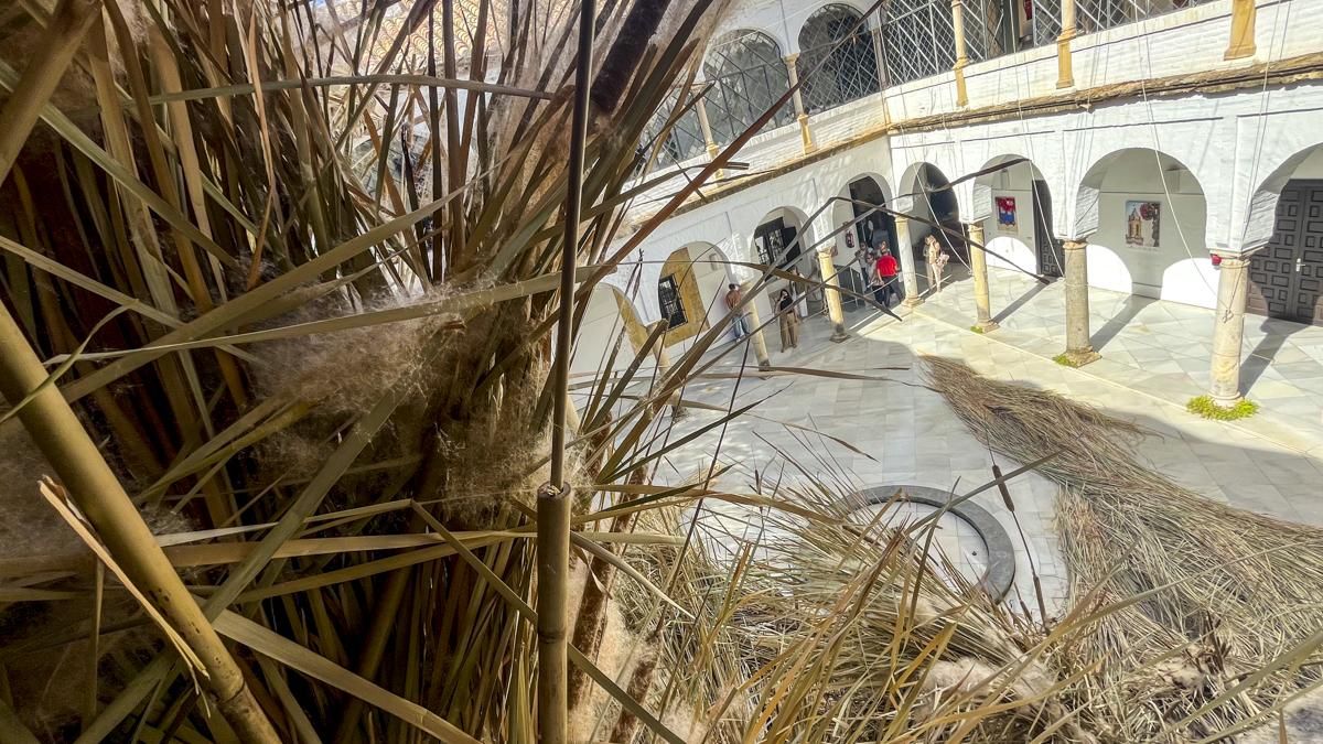 FLORA 2026 - Mas Rasa (Palacio de Orive)