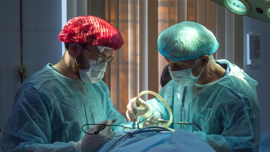 'Rejuvenecer’ los órganos para trasplante, una vía para atajar el envejecimiento de los donantes: la mitad supera los 60 años