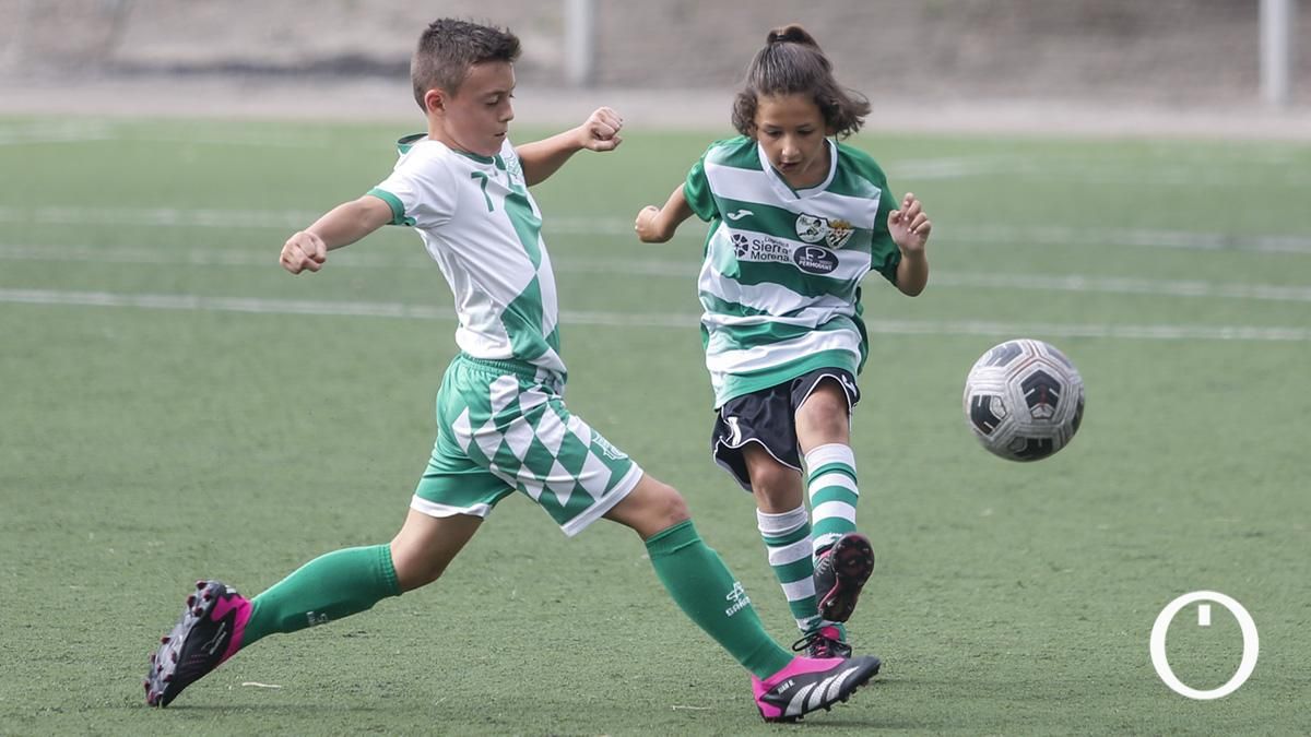 Torneo Benéfico de fútbol base