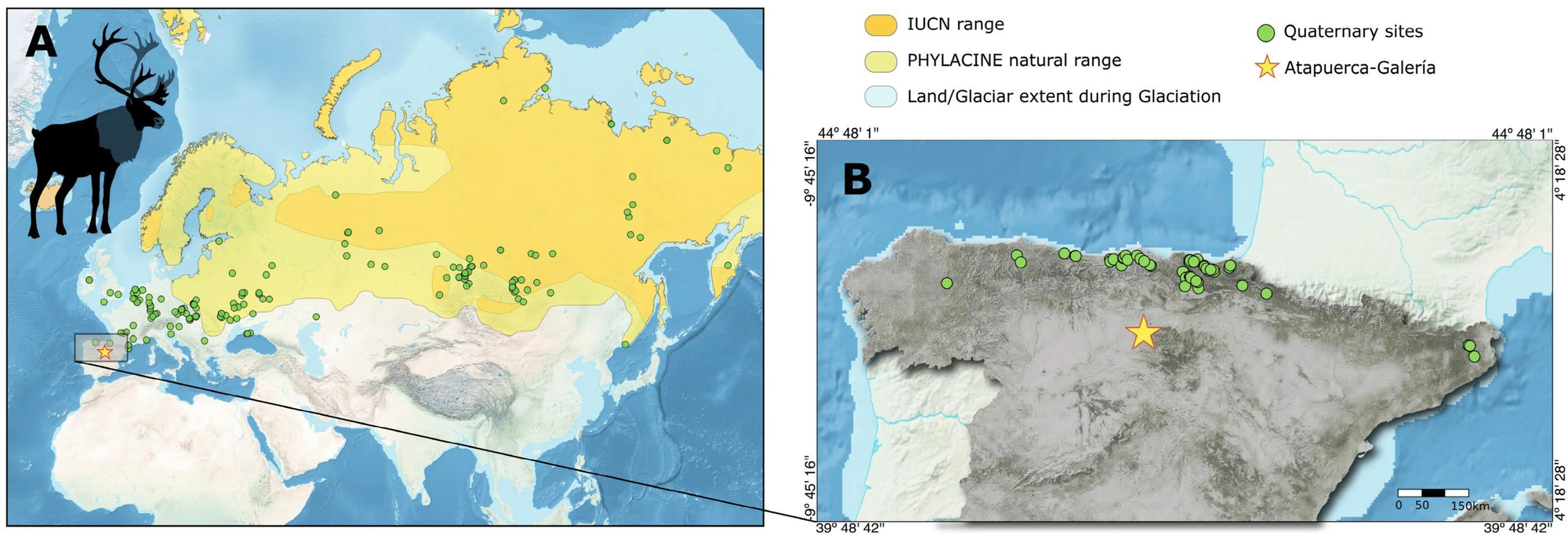 Distribución geográfica del reno actual y fósil Rangifer tarandus en Eurasia ( A ) y la Península Ibérica ( B ). La distribución actual corresponde al rango actual (en amarillo) obtenido de la Lista Roja de la Unión Internacional para la Conservación de la Naturaleza (UICN)
