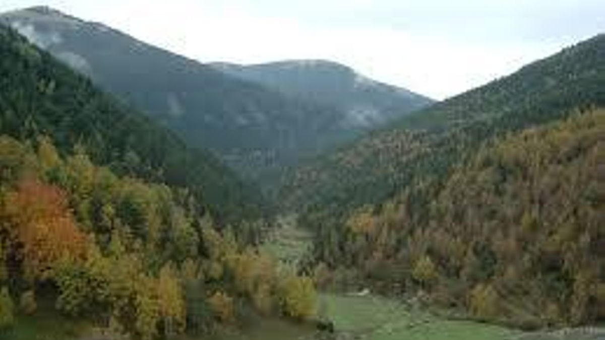 Asun Cámara es la coordinadora de la Plataforma 'Juntos por los Bosques'.