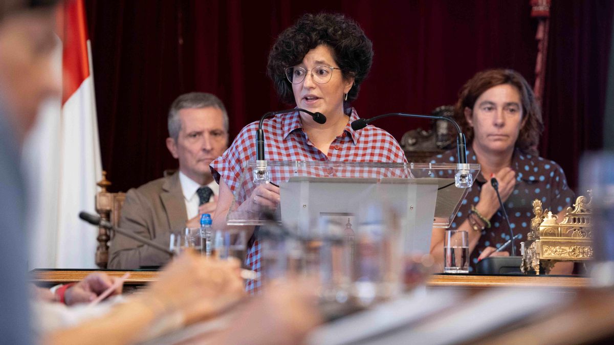 Ana Viñals, Elkarrekin Podemos.