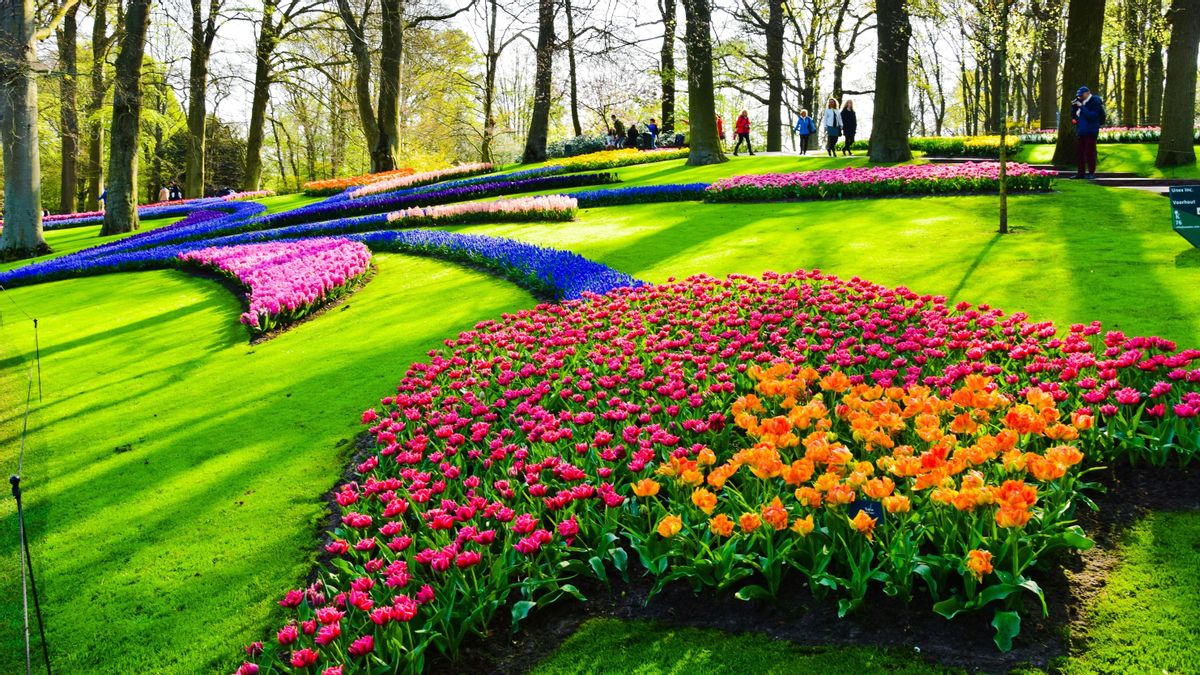 Flores dibujando flores en el paisaje.