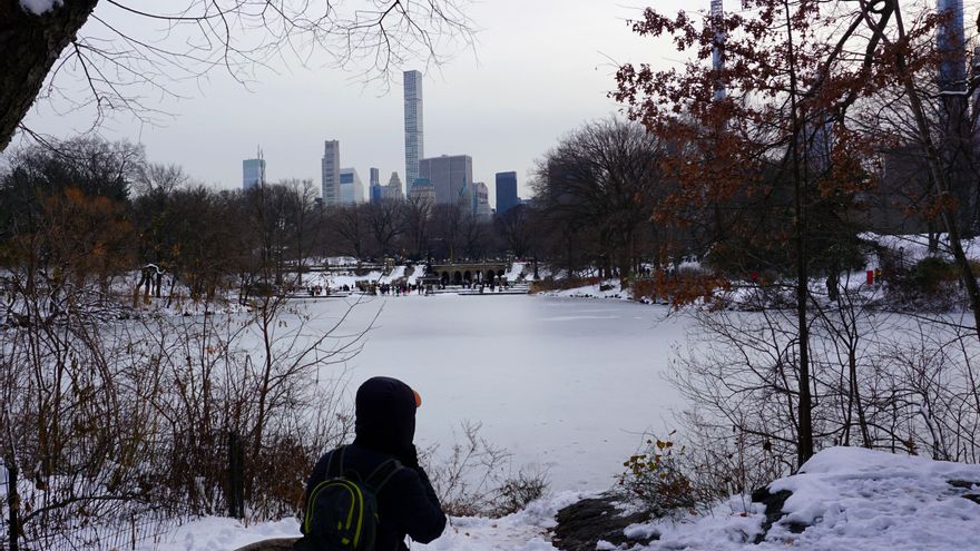 Multas y posibles juicios, el incentivo para que los neoyorquinos se hagan responsables de las aceras que están frente a sus casas después de una nevada