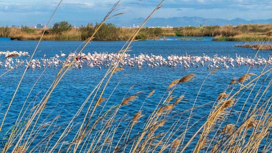 El Tancat de la Pipa, en l'Albufera.